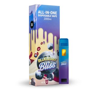 Hit Stick - 2G THCa (Blueberry Bliss)